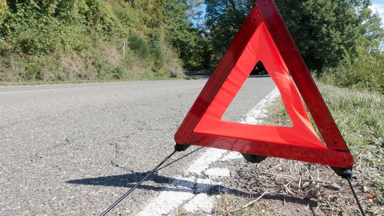 Yol kenarına, emniyet şeridine konmuş reflektör
